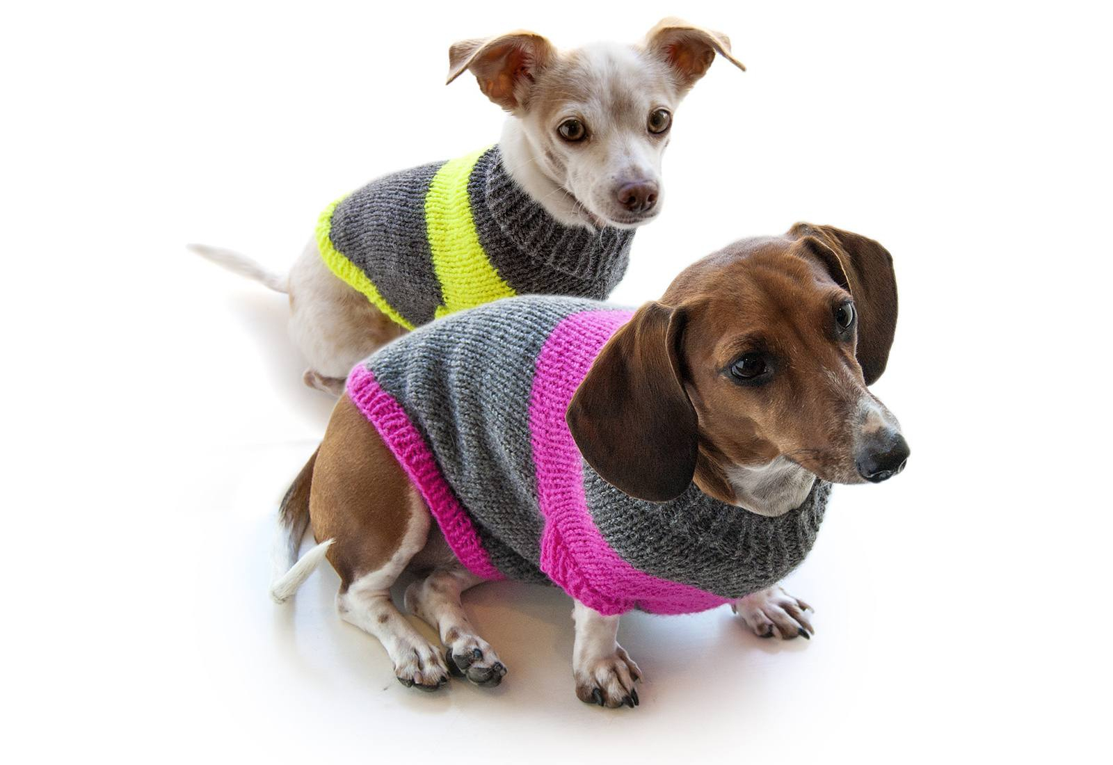 Dachshund Jumper Knitting Pattern 12 Dog Sweaters And Other Knitting Patterns For Pups
