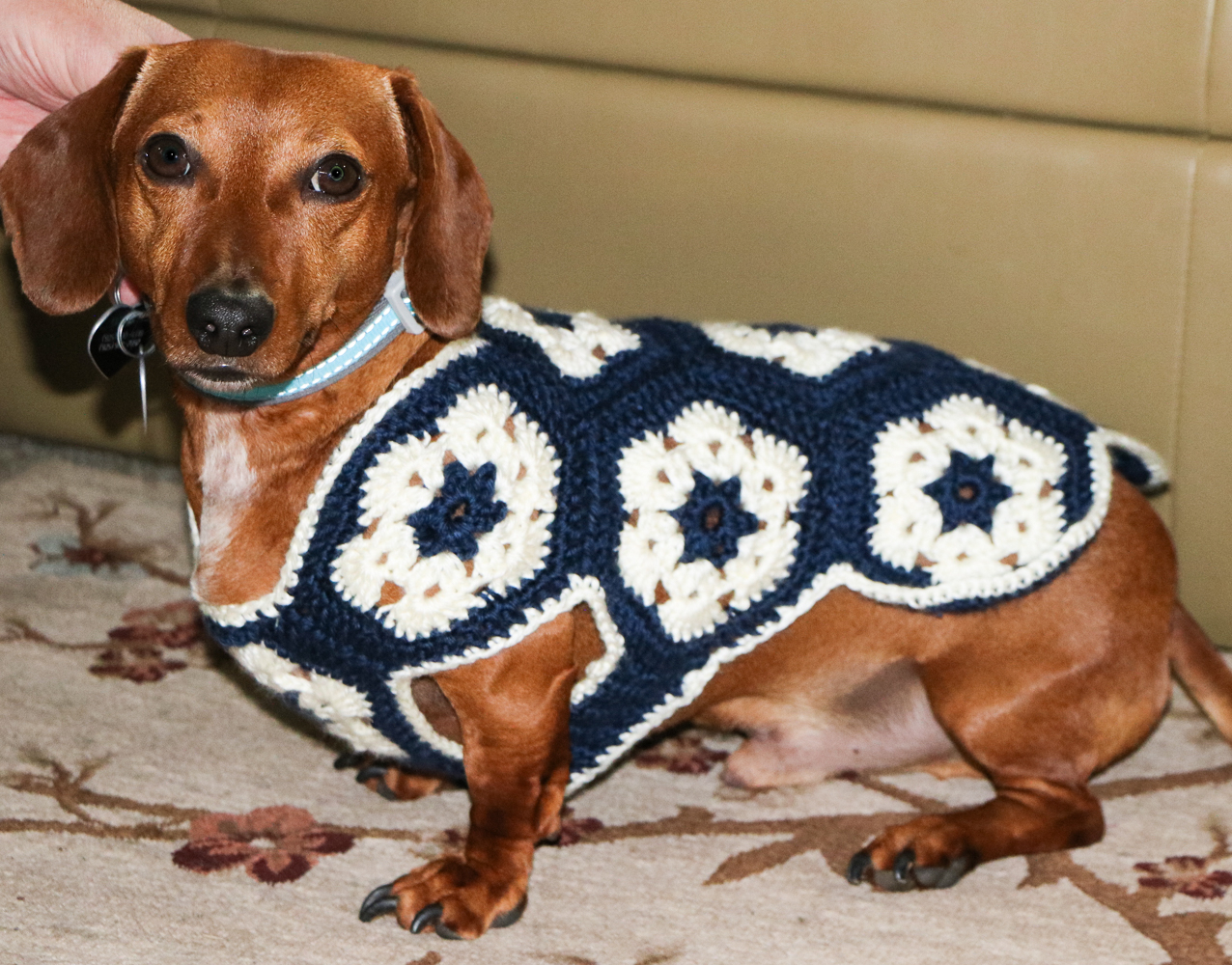 Dachshund Jumper Knitting Pattern 25 Beautiful Crochet Dog Sweater Pattern The Funky Stitch