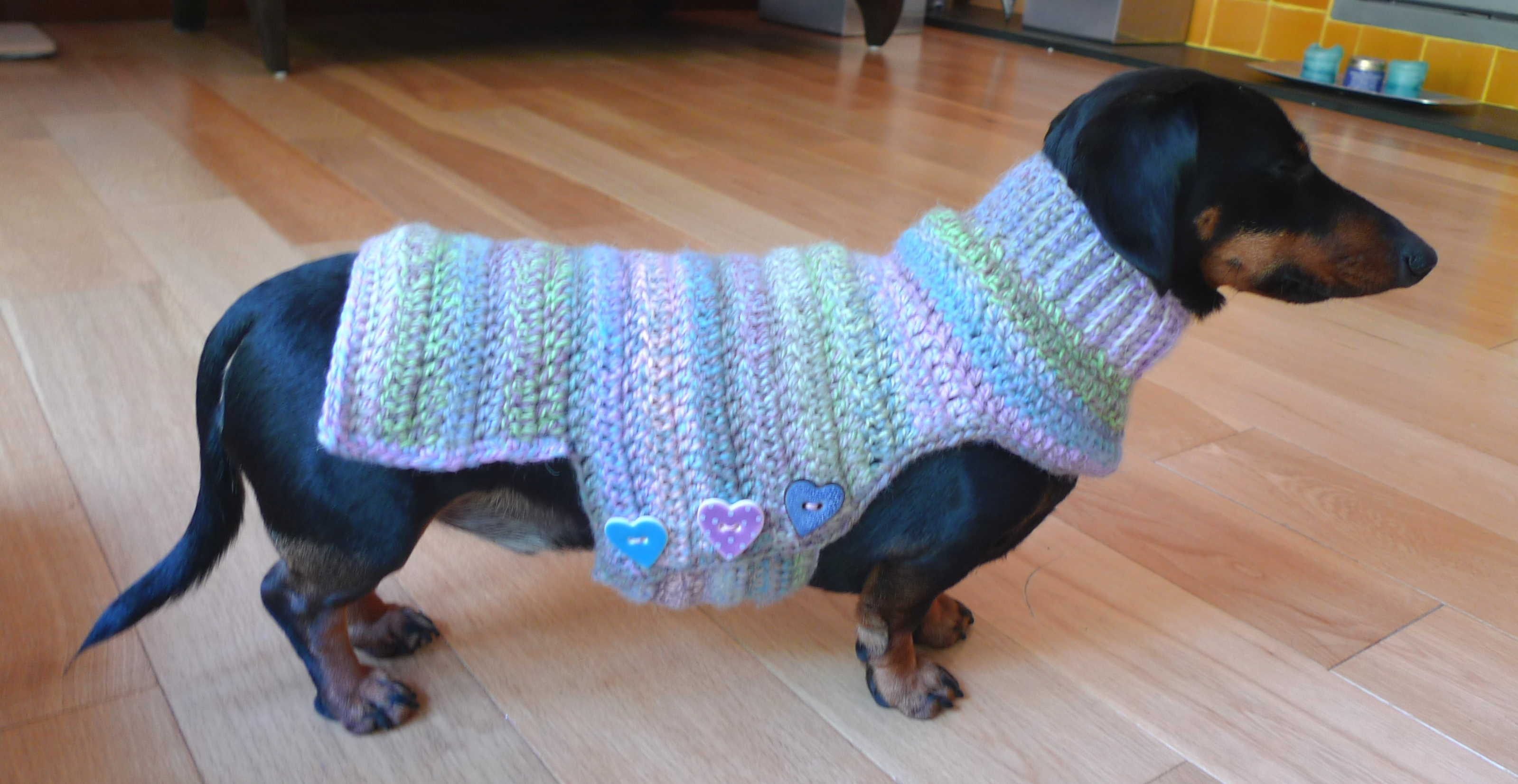 Dachshund Jumper Knitting Pattern Cute Crochet Dog Sweater Httplomets