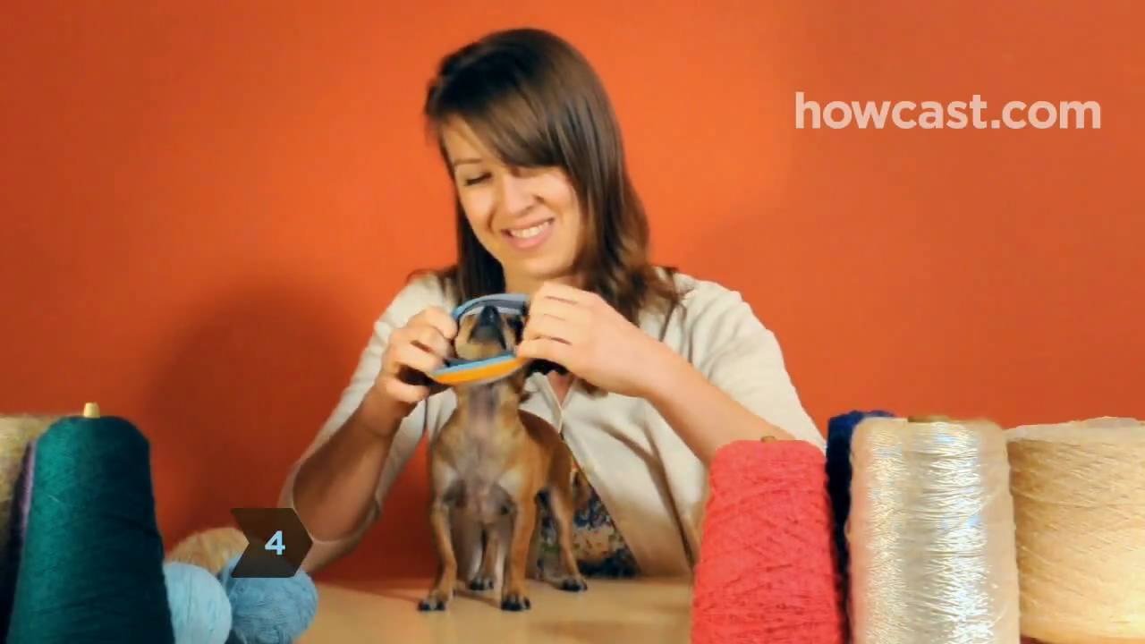 Dachshund Jumper Knitting Pattern How To Turn A Large Sock Into A Tiny Dog Sweater