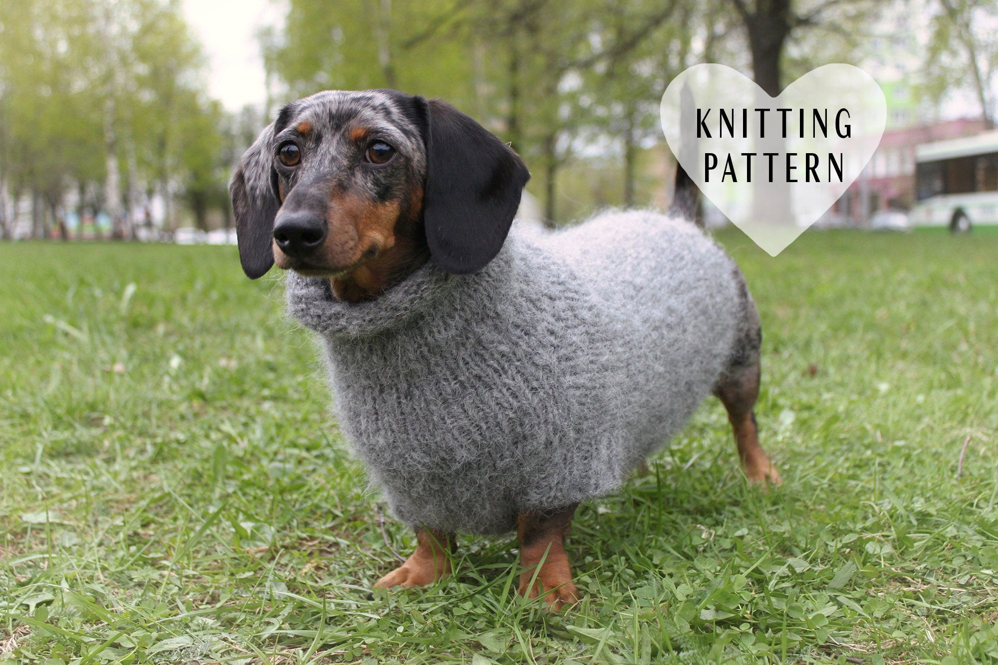 Dachshund Jumper Knitting Pattern Knitting Pattern Fuzzy Dachshund Sweater Oversized Dog Sweater Pet Clothes Mini Doxie Knit Knitted Top Down Dog Sweater Diy