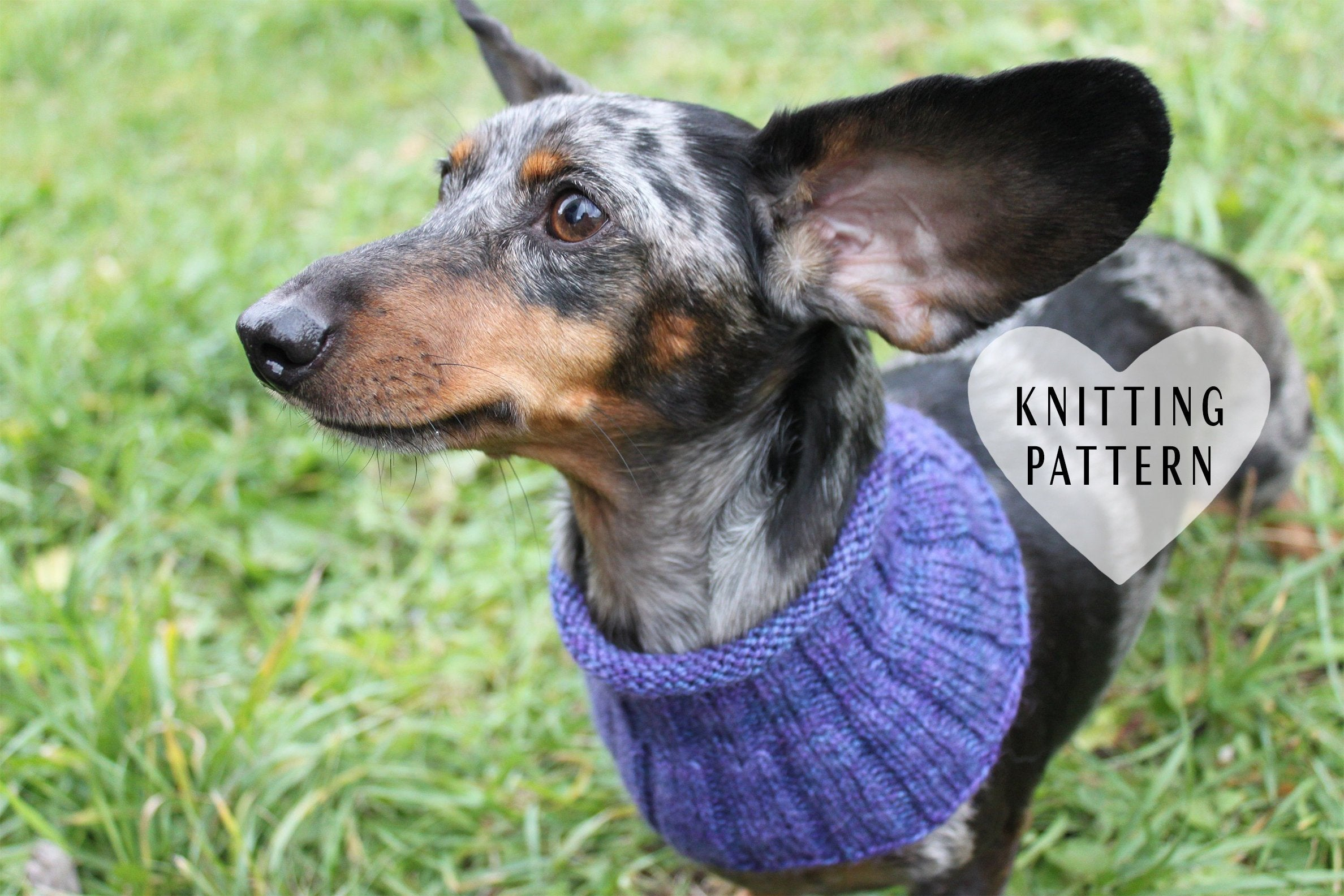 Dachshund Jumper Knitting Pattern Knitting Pattern Small Dog Cowl Neck Warmer Knitted Dog Cowl Dachshund Clothes Dog Clothes Miniatuer Dachshund Cowl Doxie Neck Warmer