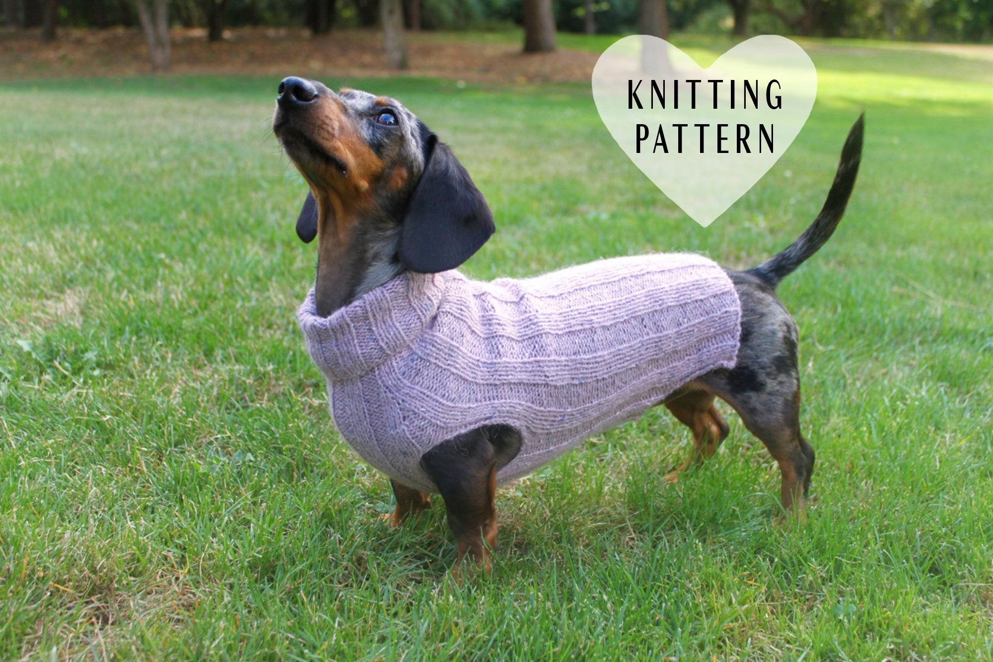 Dachshund Jumper Knitting Pattern Knitting Pattern Top Down Mini Dachshund Dog Sweater Pet Clothes Dogs Little Dog Diy Project Knit Knitted Doxie Wiener Dog Pets