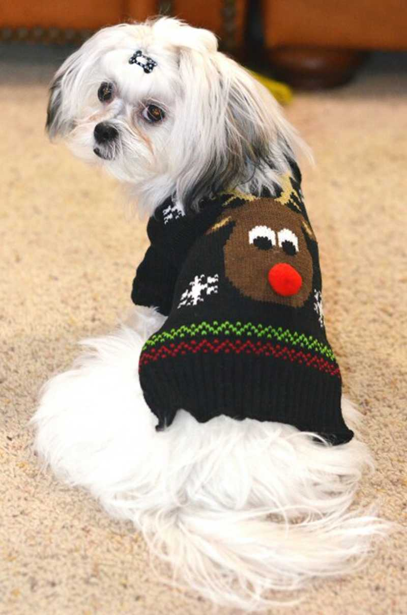Dachshund Jumper Knitting Pattern Xmas Reindeer Pet Dog Sweater For Autumn Winter Warm Knitting Crochet Dachshund Christmas Dog Clothes For Chihuahua Xxs Xxl