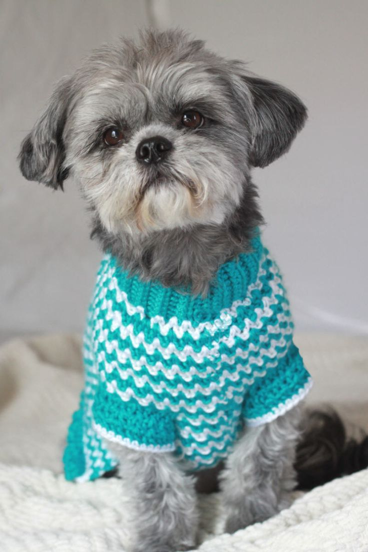 Dog Sweater Knitting Pattern Crochet Dog Sweater Patterns To Try Out Crochet And Knitting