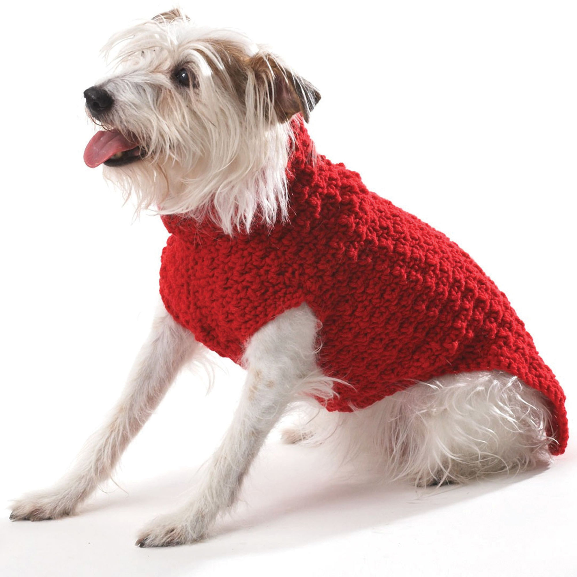 Dog Sweater Knitting Pattern Free Easy Dog Sweater Knitting Patterns