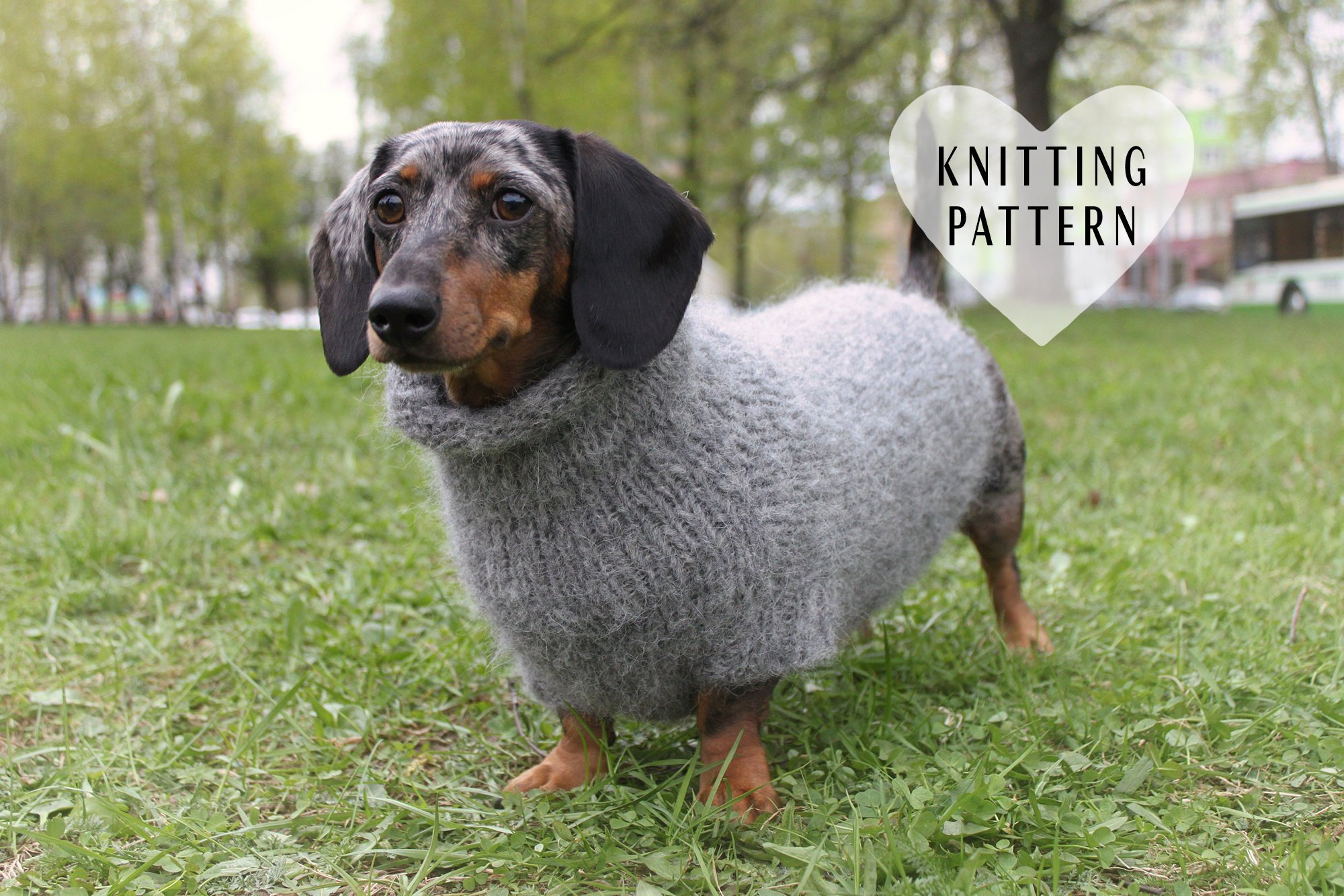 Dog Sweater Knitting Pattern Knitting Pattern Fuzzy Dachshund Sweater Oversized Dog Sweater Pet Clothes Mini Doxie Knit Knitted Top Down Dog Sweater Diy