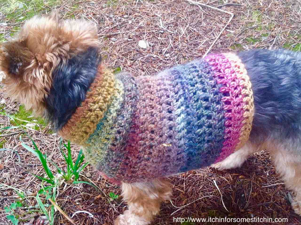Dog Sweater Knitting Pattern Quick Easy Small Dog Crochet Sweater Itchin For Some Stitchin