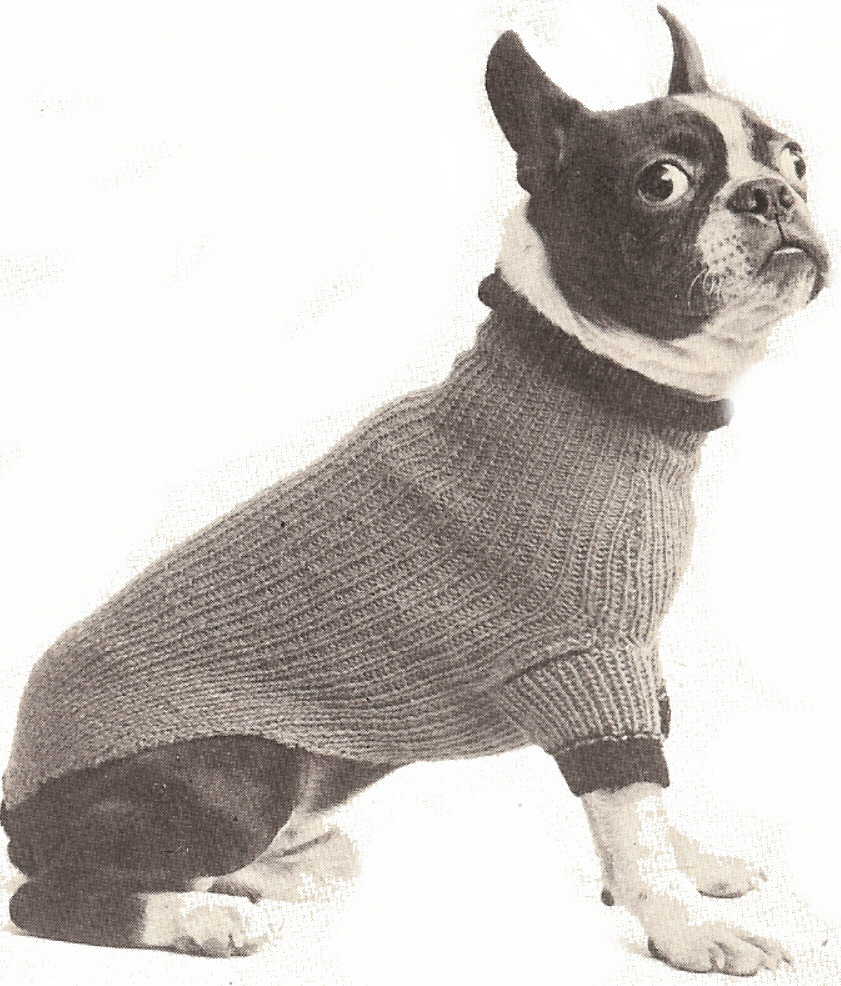 Dog Sweater Knitting Pattern The Best Sweaters And Coats To Knit For Your Dog Free Patterns
