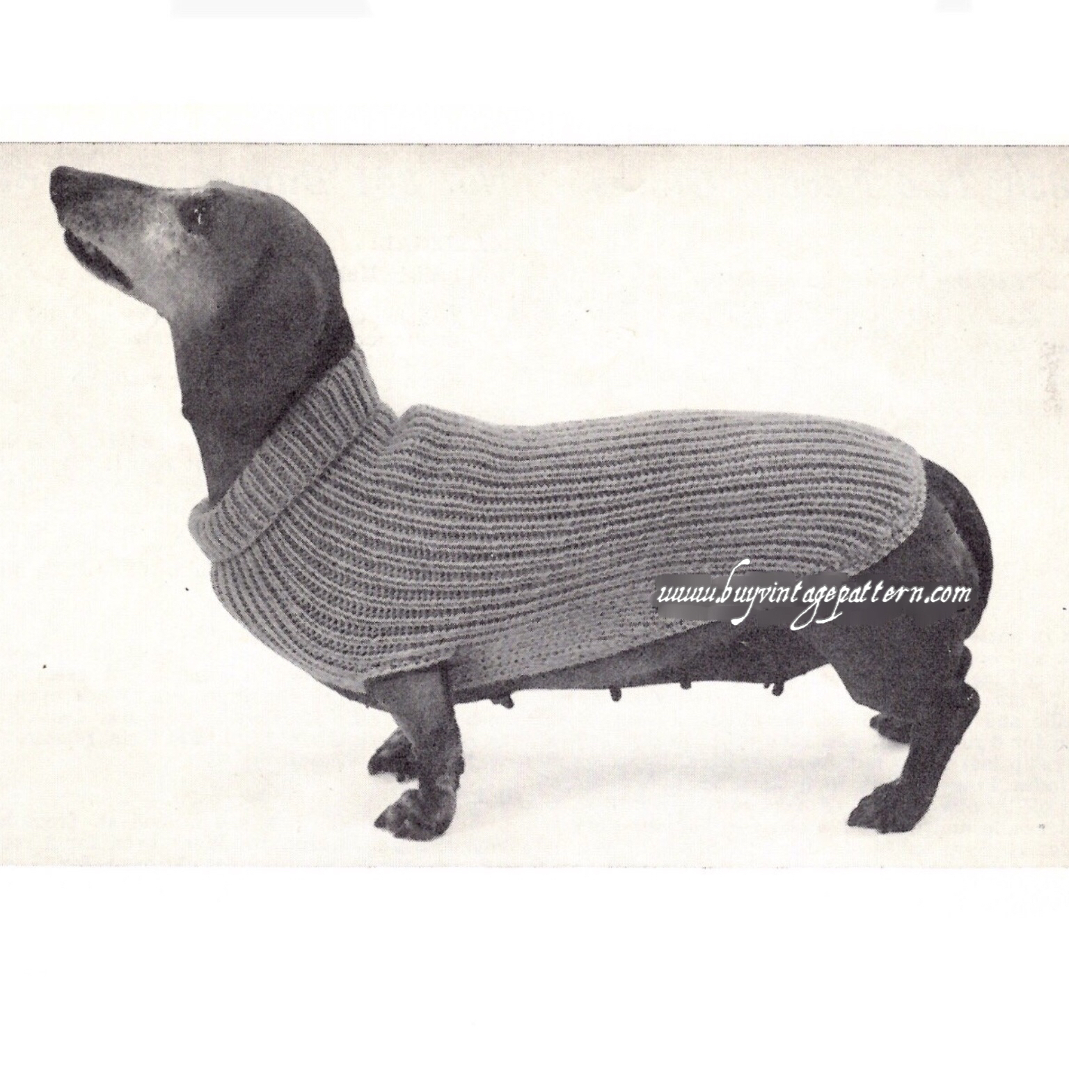 Dog Sweater Knitting Pattern Vintage Dog Sweater Knit Pdf Pattern