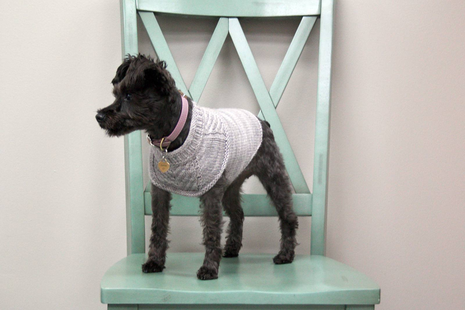 Dog Sweater Knitting Patterns 12 Dog Sweaters And Other Knitting Patterns For Pups