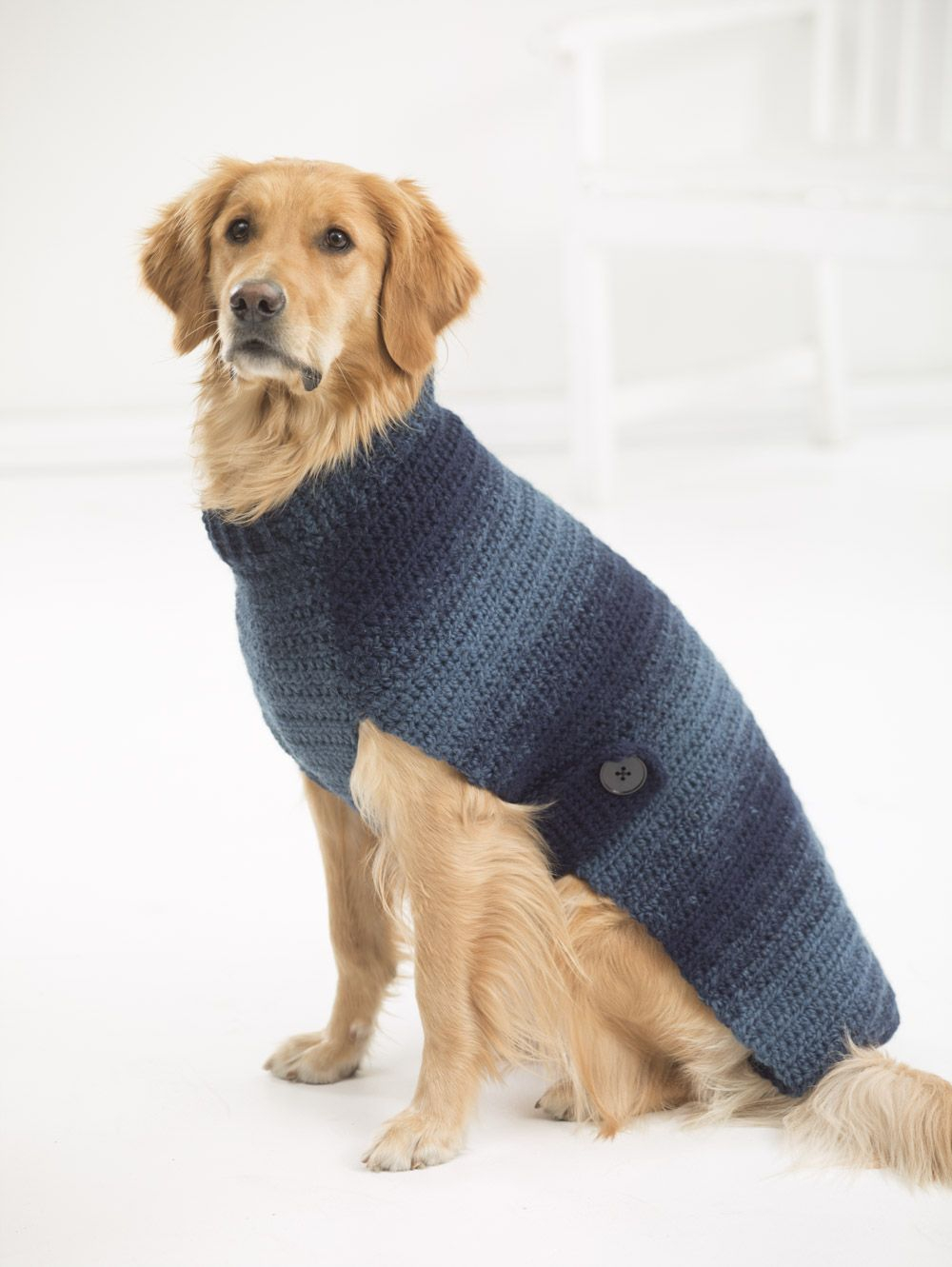 Dog Sweater Knitting Patterns Free Knitting Patterns For Dog Sweater For Basset