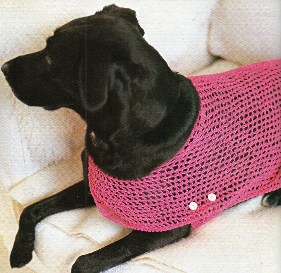 Dog Sweater Knitting Patterns Hunter Urban Dog Sweater Knit Sweaters Knitted Patterns For Large