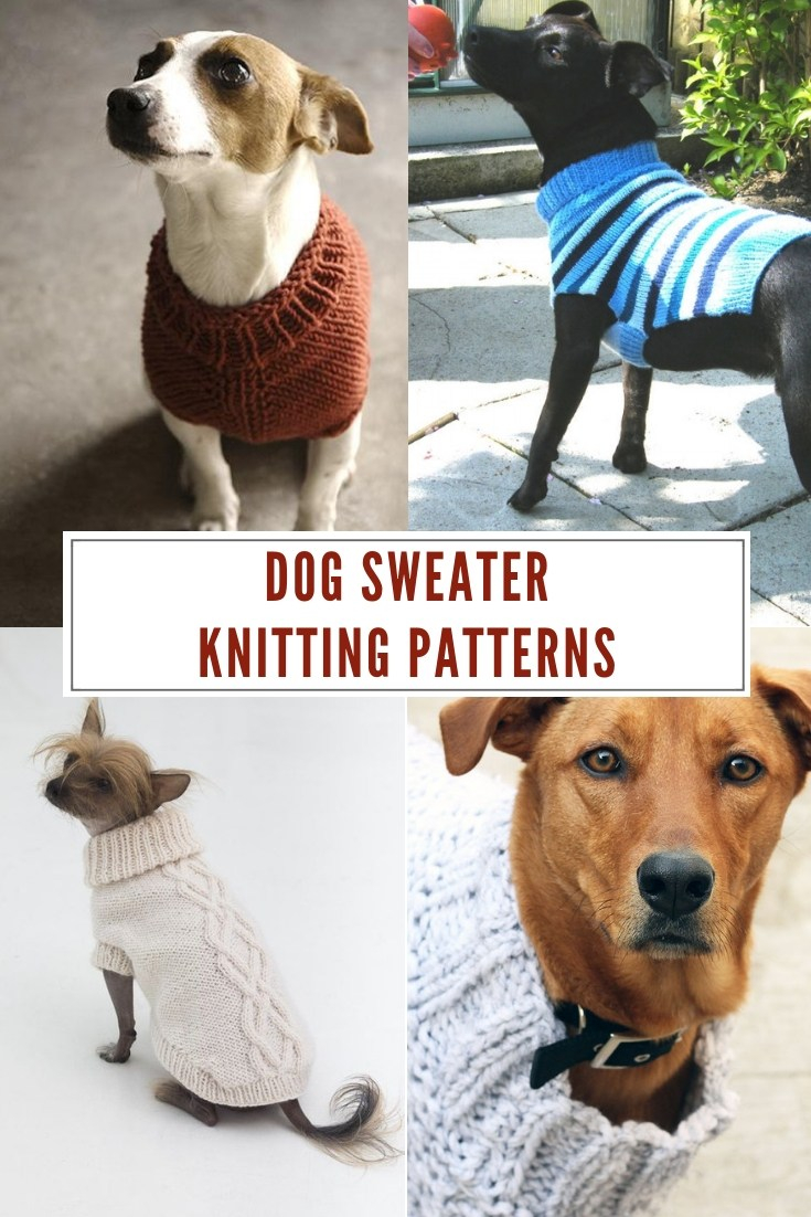 Easy Knitting Pattern For Dog Coat 10 Stunning Examples Of Beautiful Fall Dog Sweaters Free Knitting
