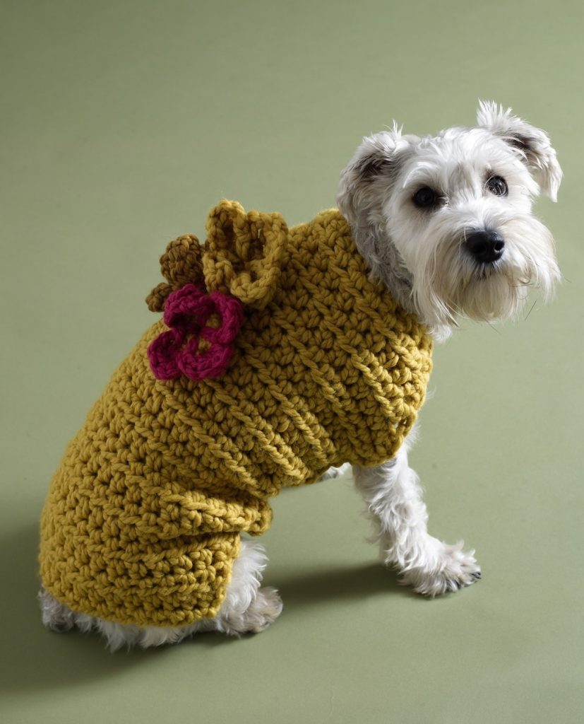 Easy Knitting Pattern For Dog Coat Best Free Crochet Dog Sweater Patterns Lucy Kate Crochet