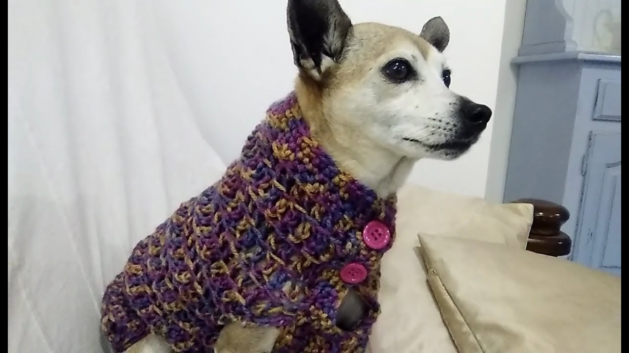 Easy Knitting Pattern For Dog Coat Easy Crochet Dog Sweater Any Size Tutorial