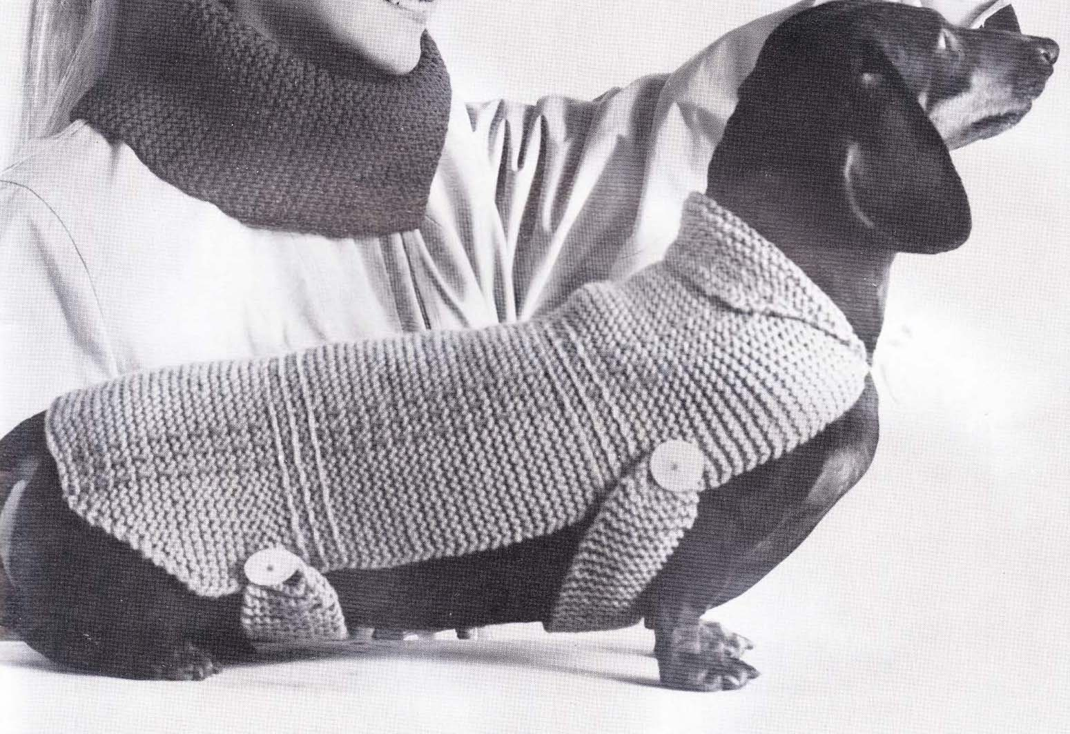 Easy Knitting Pattern For Dog Coat Easy Crochet Dog Sweater Pattern Crochet And Knitting Patterns
