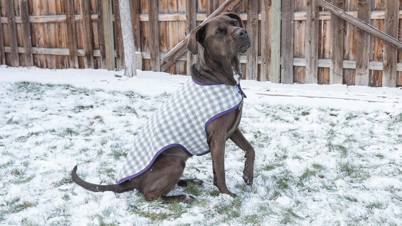 Easy Knitting Pattern For Dog Coat How To Sew A Dog Coat Pattern And Assembly