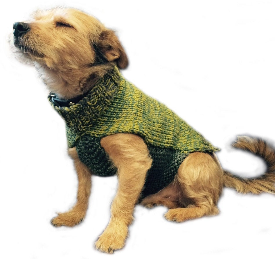 Easy Knitting Pattern For Dog Coat Riley Dog Coat Knitting Pattern Wm2056