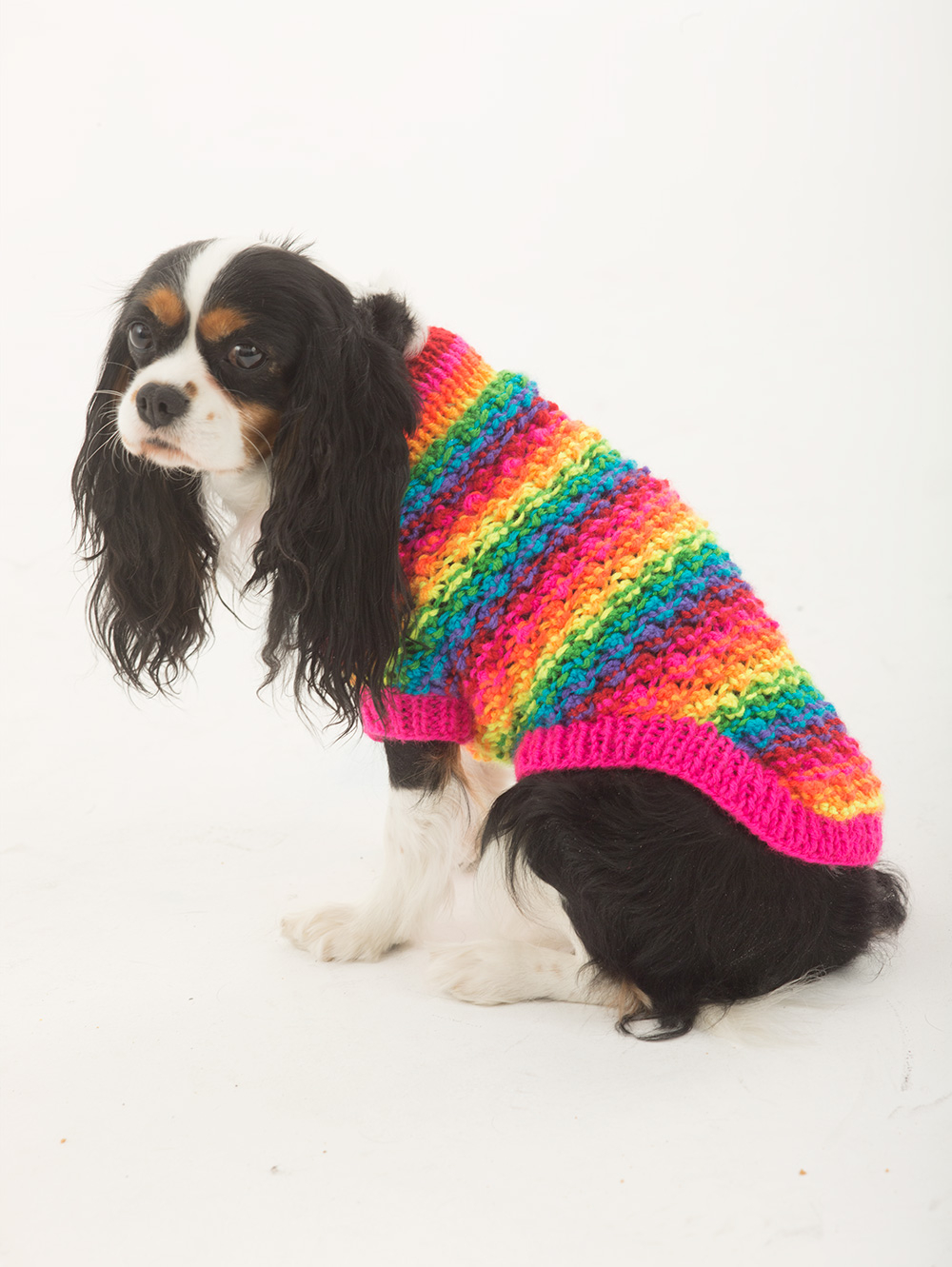 Free Knitting Pattern For Small Dog Coat 12 Best Photos Of Free Easy Knit Dog Sweater Pattern Easy Knit Dog