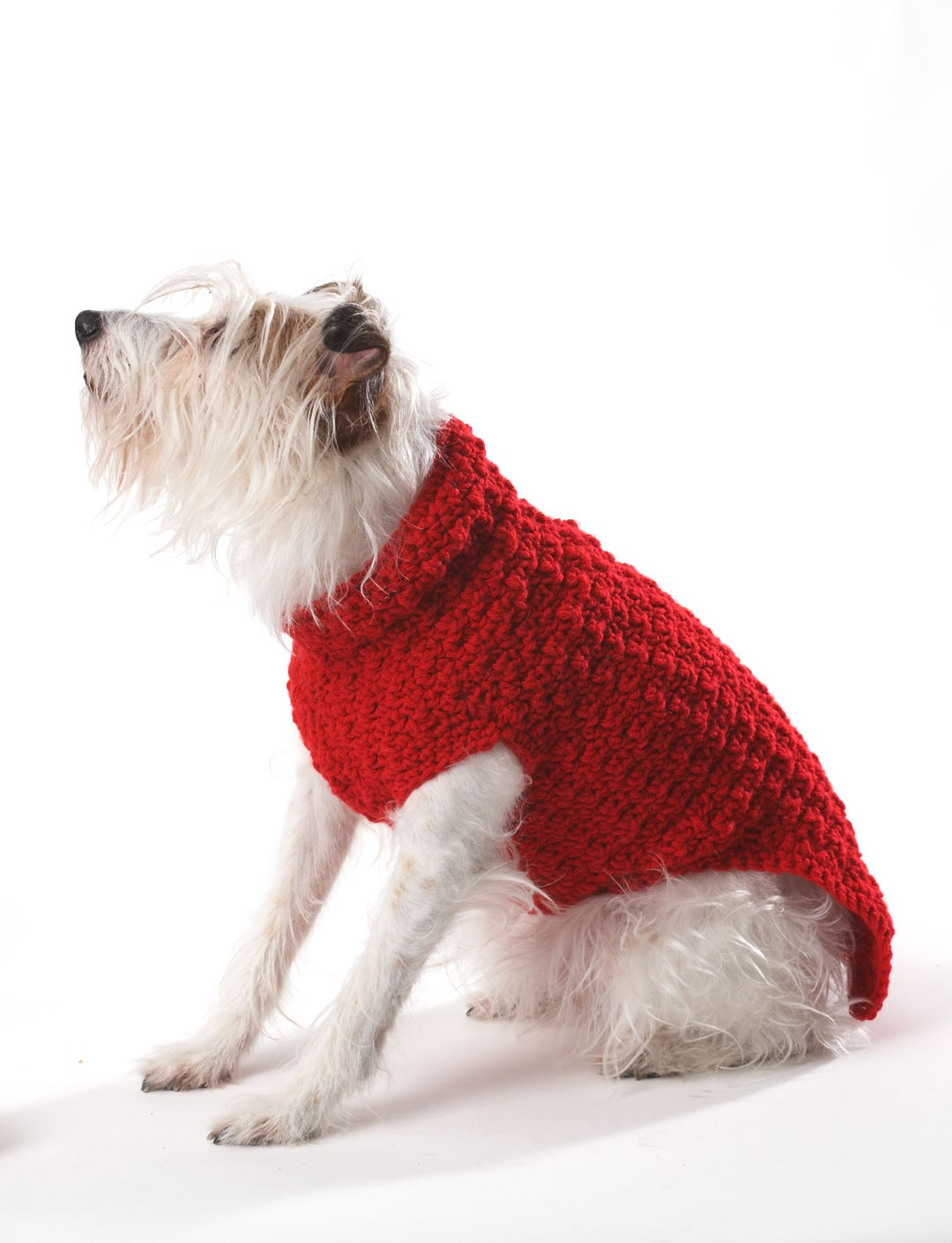Free Knitting Pattern For Small Dog Coat 9 Best Photos Of Boy Dog Crochet Coat Patterns Crochet Dog Coat