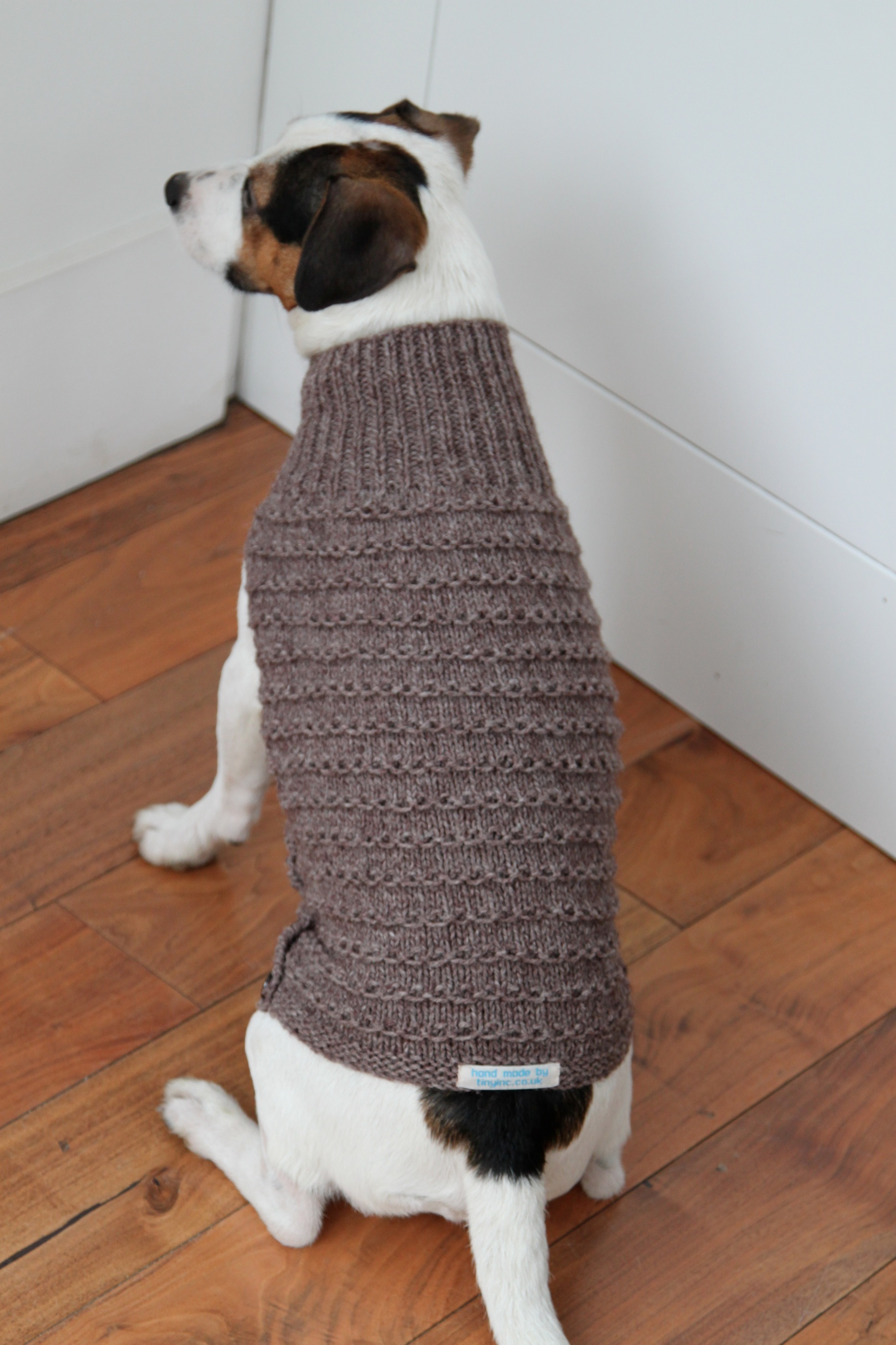 Free Knitting Pattern For Small Dog Coat Canine Couture Of The Knitted Variety Tinyinc