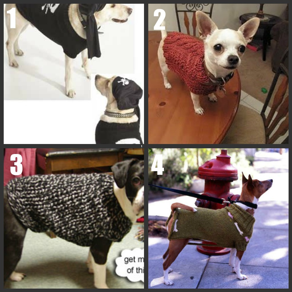 Free Knitting Pattern For Small Dog Coat Dog Sweater To Knitcrochet Roundup Part 2