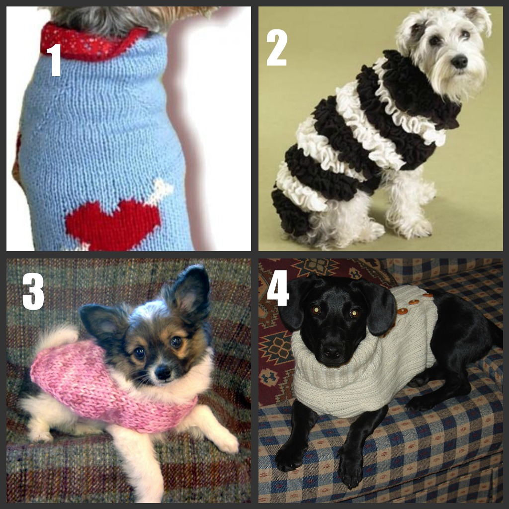 Free Knitting Pattern For Small Dog Coat Dog Sweater To Knitcrochet Roundup Part 2
