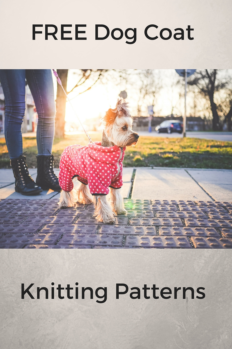 Free Knitting Pattern For Small Dog Coat Knitting Dog Craft Blog Crochet Patterns