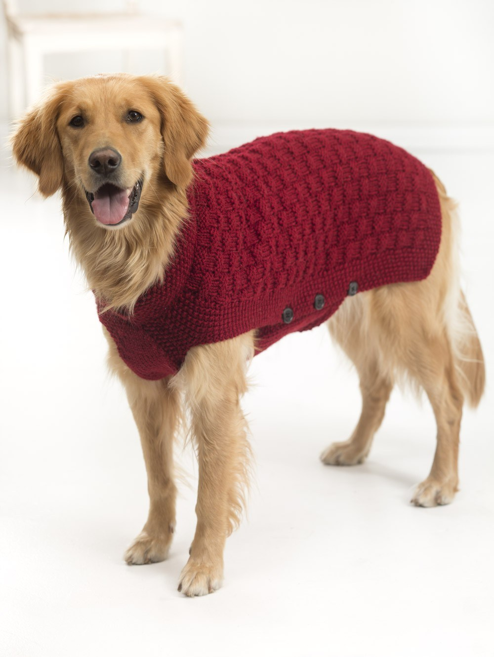 Free Knitting Patterns For Sweater Coats 10 Stunning Examples Of Beautiful Fall Dog Sweaters Free Knitting
