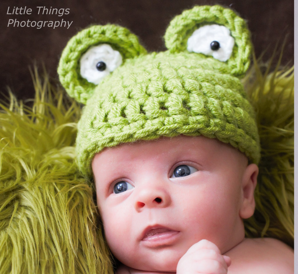 Frog Hat Knitting Pattern Frog Hat Photo Prop Hat Patternfree Knitting And Crochet Blog