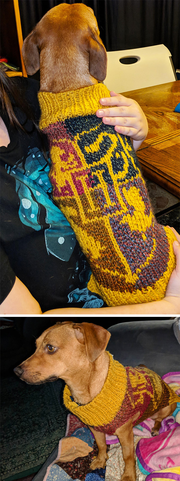 Hogwarts House Scarf Knitting Pattern Harry Potter Knitting Patterns In The Loop Knitting