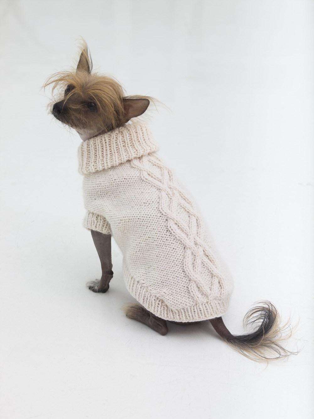 Knitted Dog Coat Pattern 10 Stunning Examples Of Beautiful Fall Dog Sweaters Free Knitting
