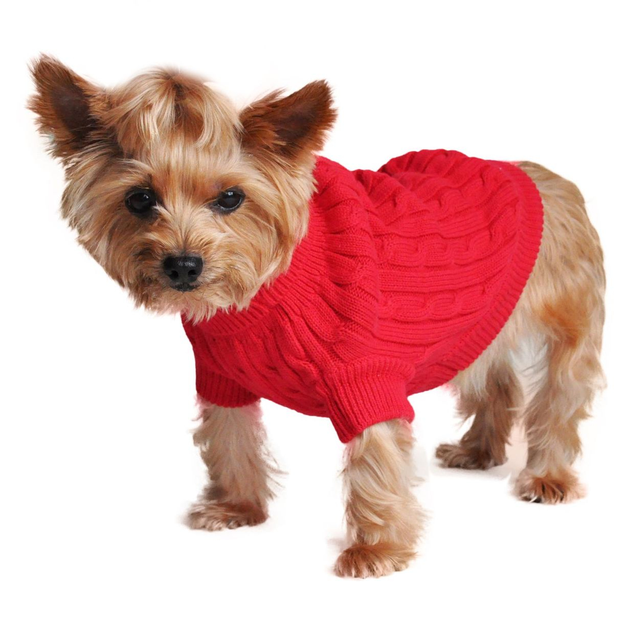 Knitted Dog Coat Pattern Cotton Cable Knit Dog Sweater Pattern Free Hypoallergenic Dog Sweater