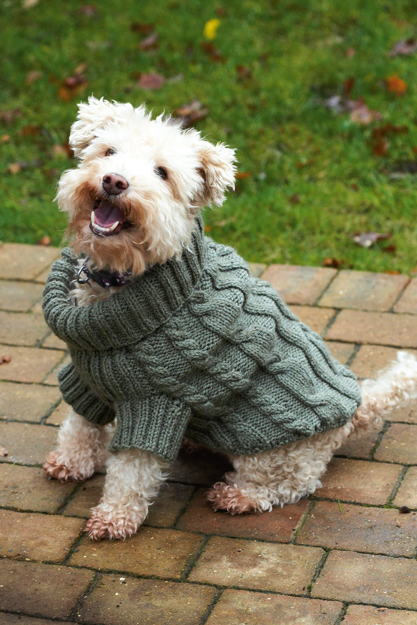 Knitted Dog Coat Pattern Dog Jumper With Cables Knitting Pattern