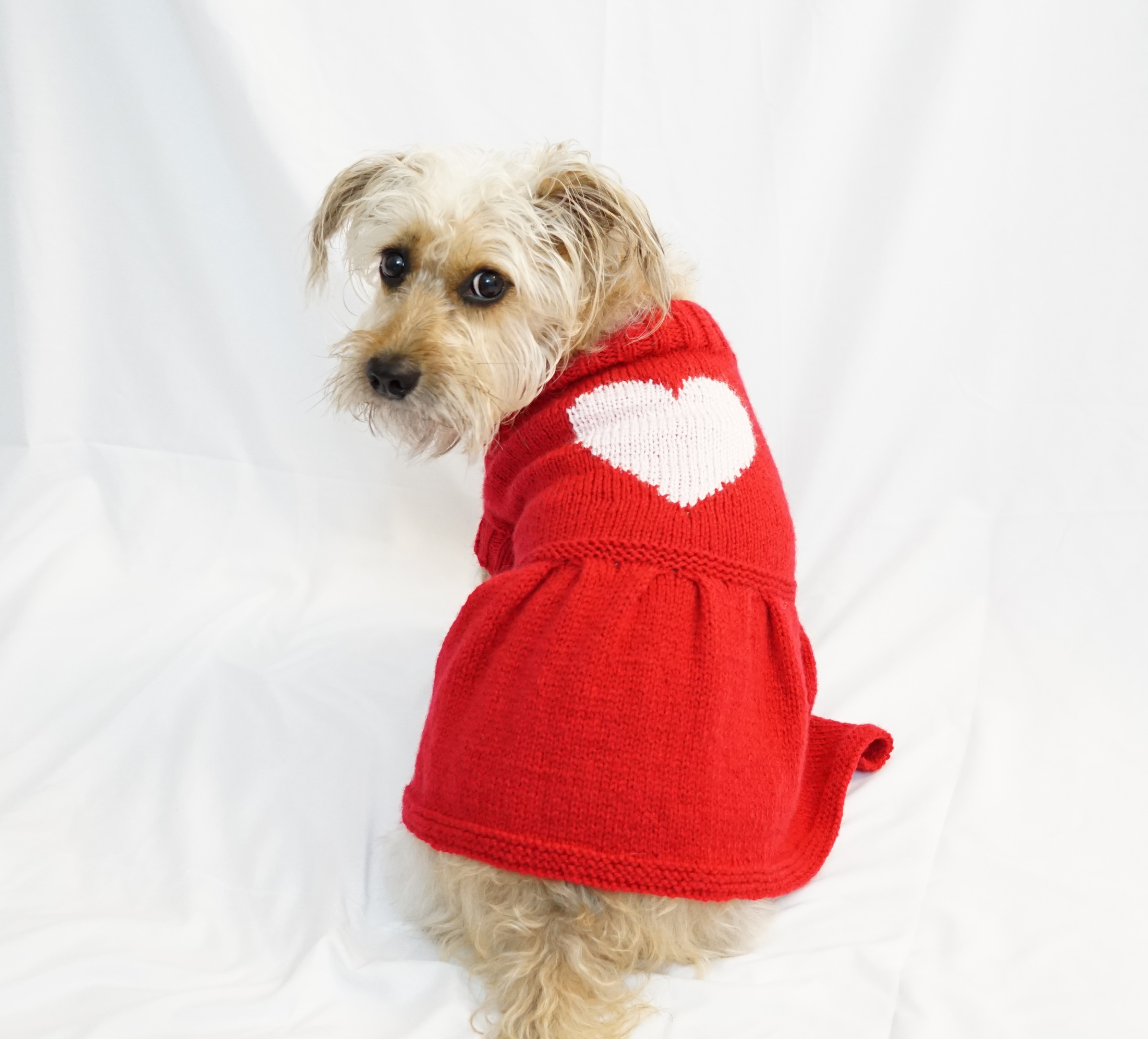 Knitted Dog Coat Pattern Knit Dog Dress Pattern Heart Motif Dog Sweater Pattern
