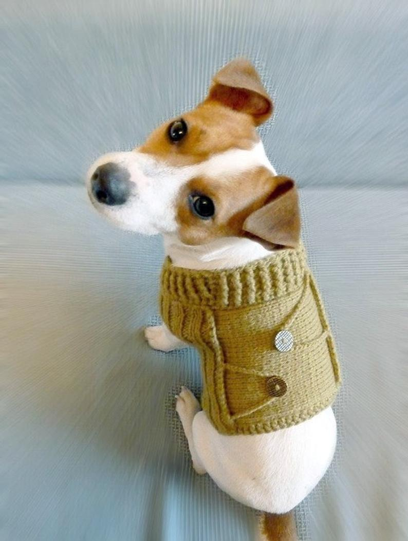 Knitted Dog Coat Pattern Knitting Pattern Dog Sweater Pattern Knit Dog Sweater Pattern Dog Clothes Pattern Pdf Pattern