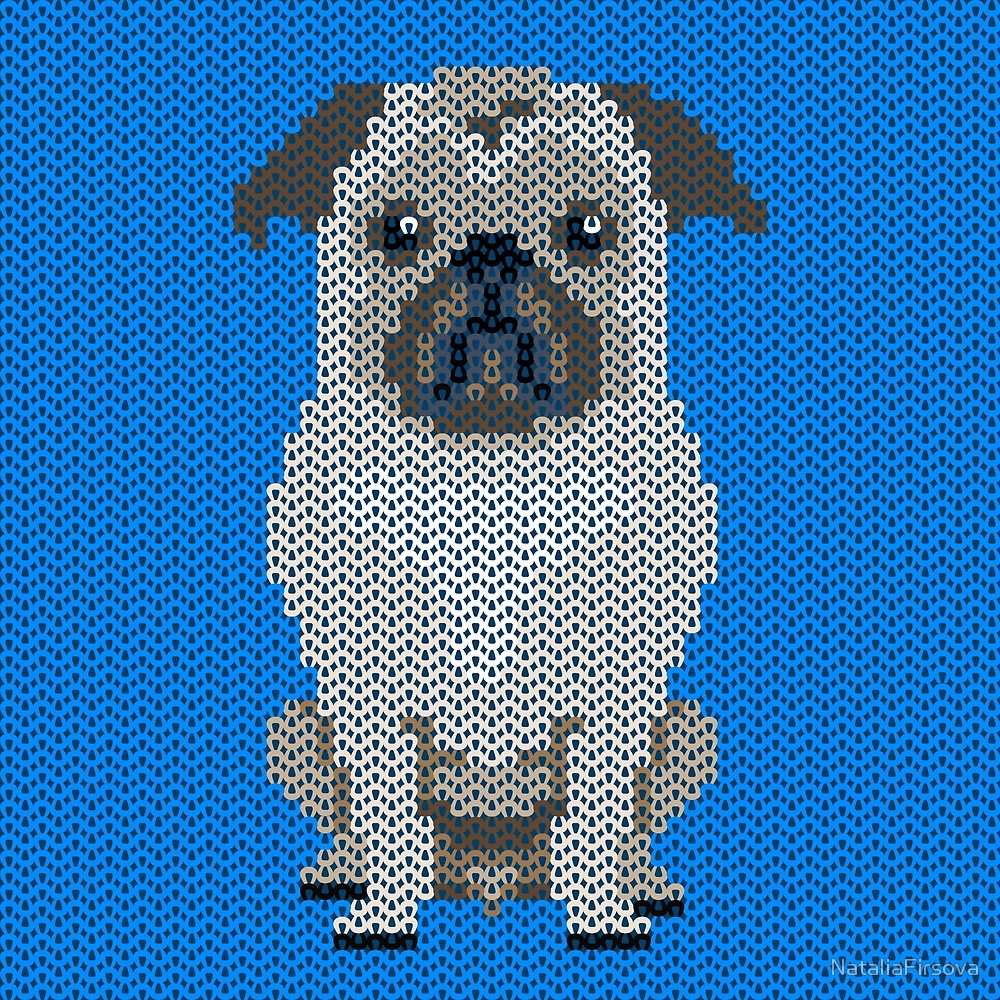 Knitted Pug Pattern Knitted Pug Dog Pattern On Blue Background Nataliafirsova