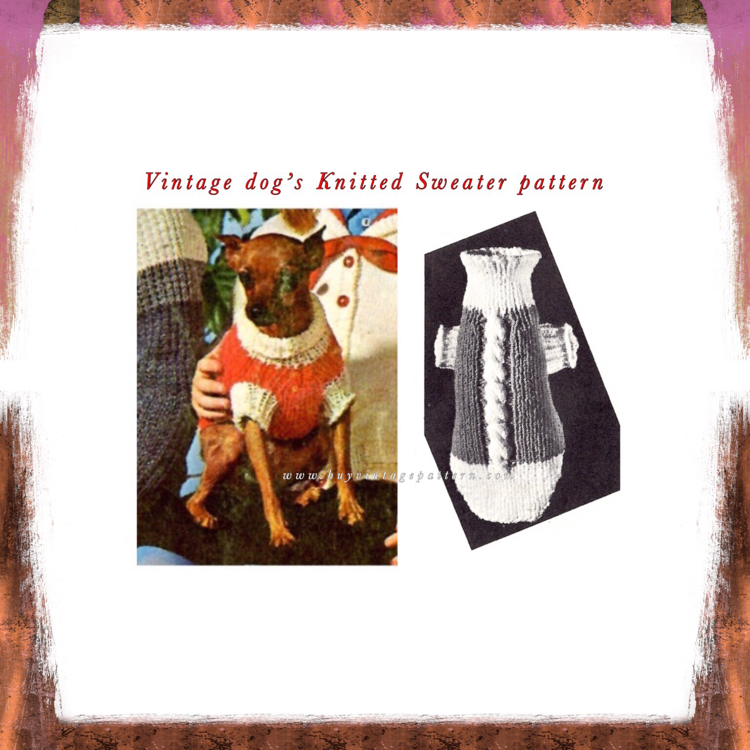 Knitting Pattern Dog Dog Red Sweater Pdf Knitting Pattern