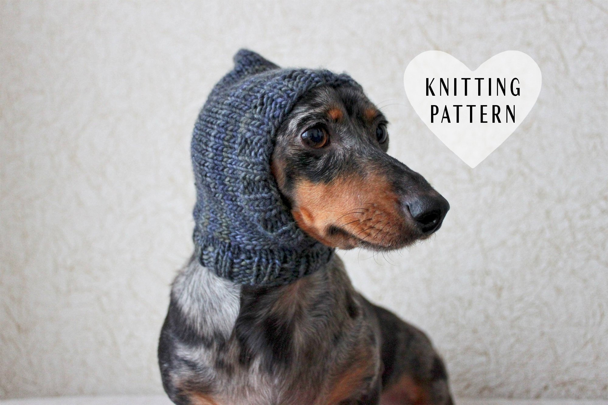 Knitting Pattern Dog Knitting Pattern Dog Hat Knit Hat Pet Clothing Pets Pet Clothes Dogs Mini Dachshund Little Dog Knitted Hood Diy Gift Wiener Dog