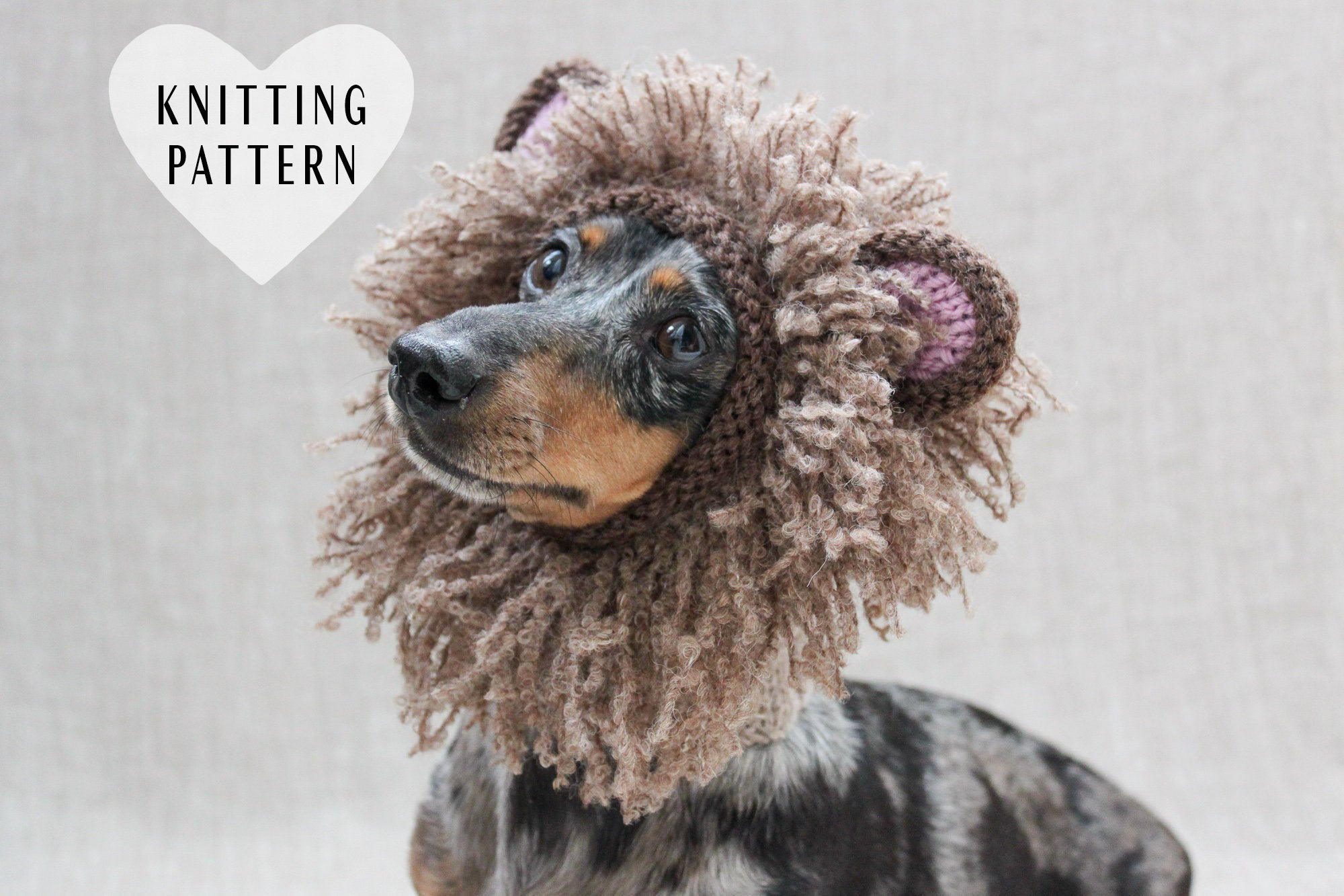 Knitting Pattern Dog Knitting Pattern Lion Dog Hat Lions Mane Lion Dog Costume Dog Costume Lion Knitted Dog Hat Small Dog Hat Leo Mini Dachshund Hat