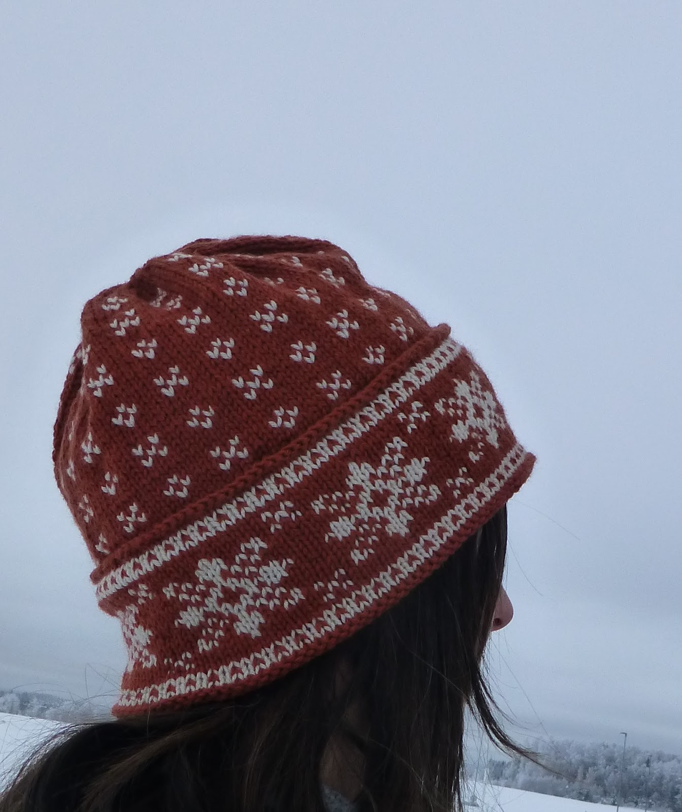 Norwegian Patterns For Knitting Hat With Traditional Norwegian Pattern Design 2