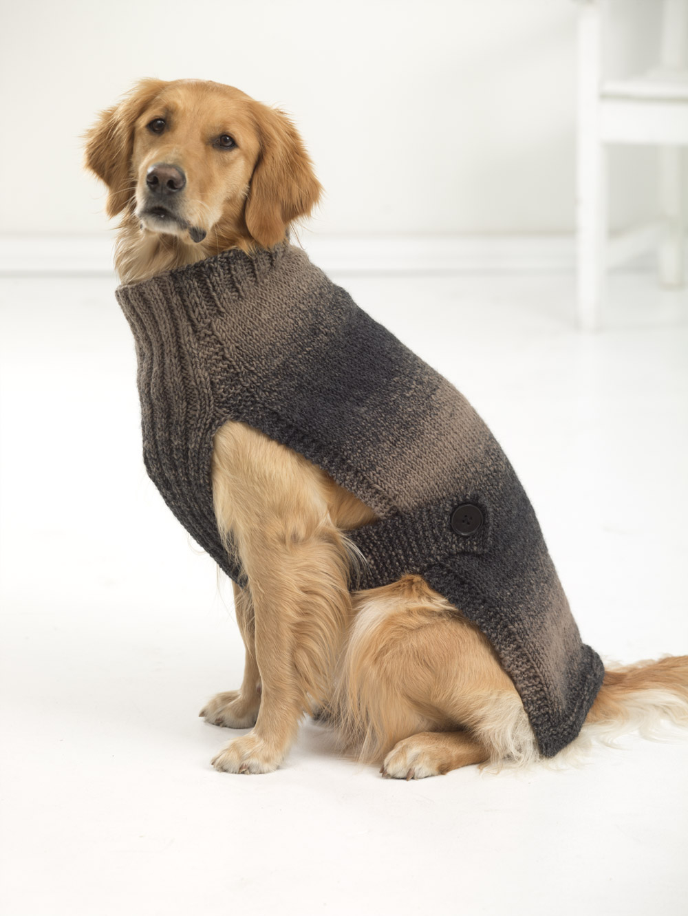 Small Dog Coat Knitting Pattern Free Lion Brand Scarfie Yarn 312 Yd