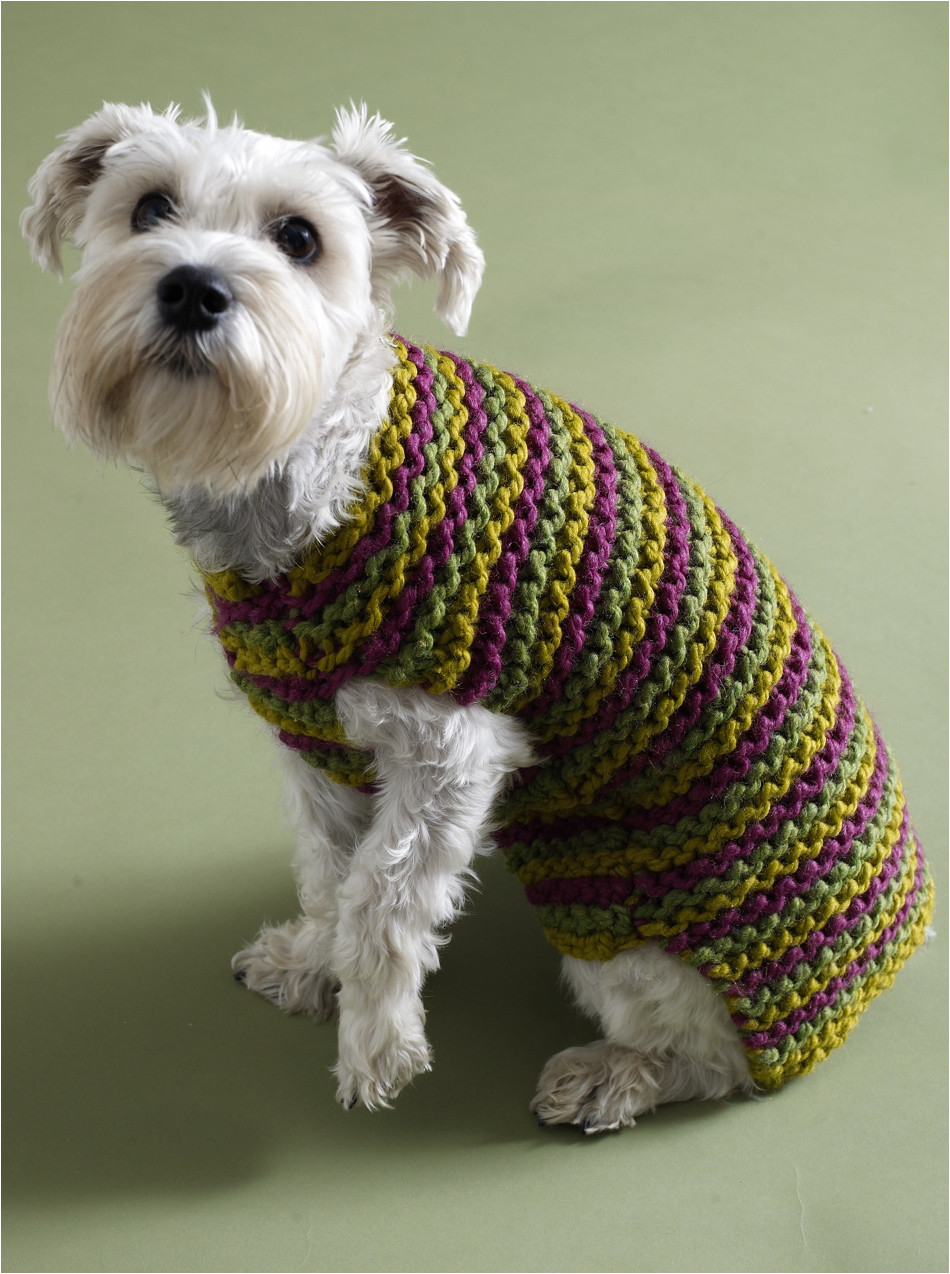 Small Dog Coat Knitting Pattern Free Patterns For Dog Clothes For Small Dogs Free Crochet Dog Sweater
