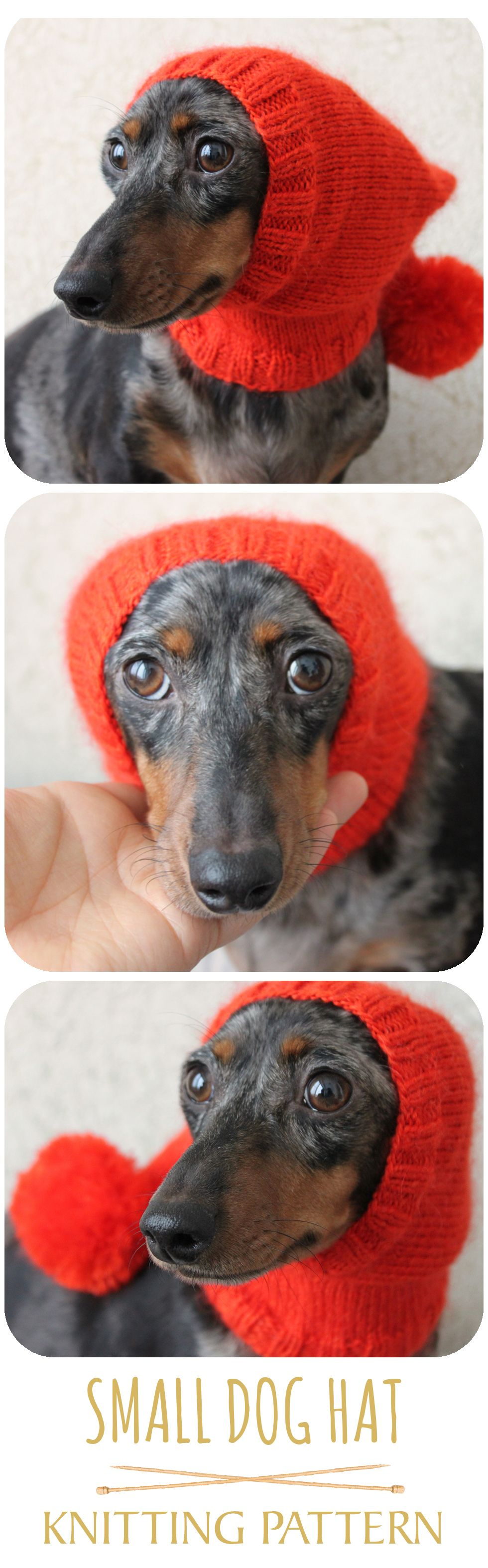 Small Dog Knitting Patterns Hats For Dogs Knitting Patterns