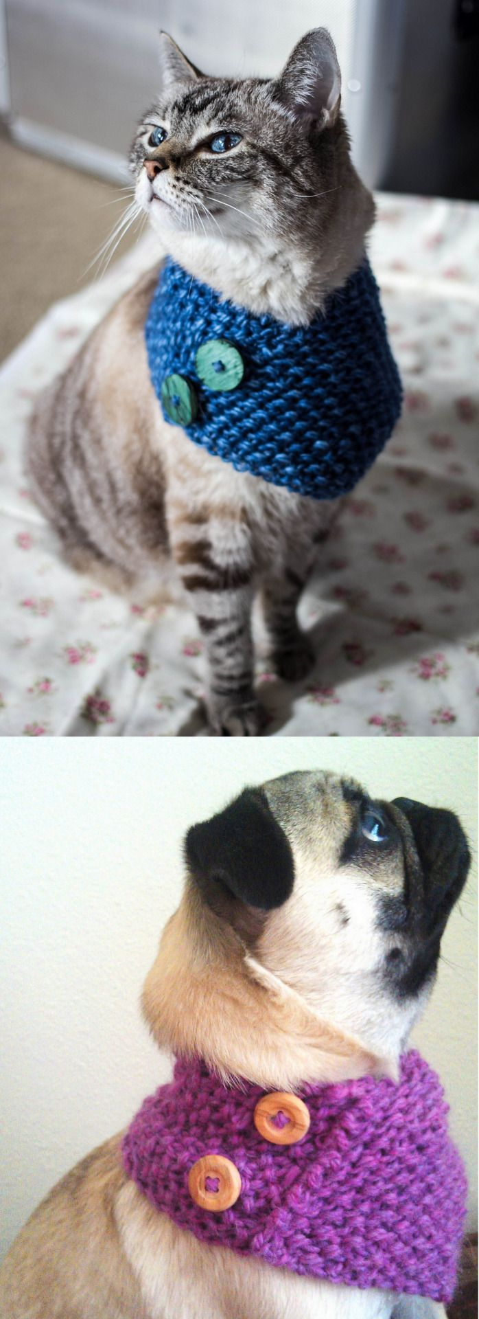 Small Dog Knitting Patterns Knitting Patterns Cowl Diy Knit Cowl Free Pattern For Cats And Small